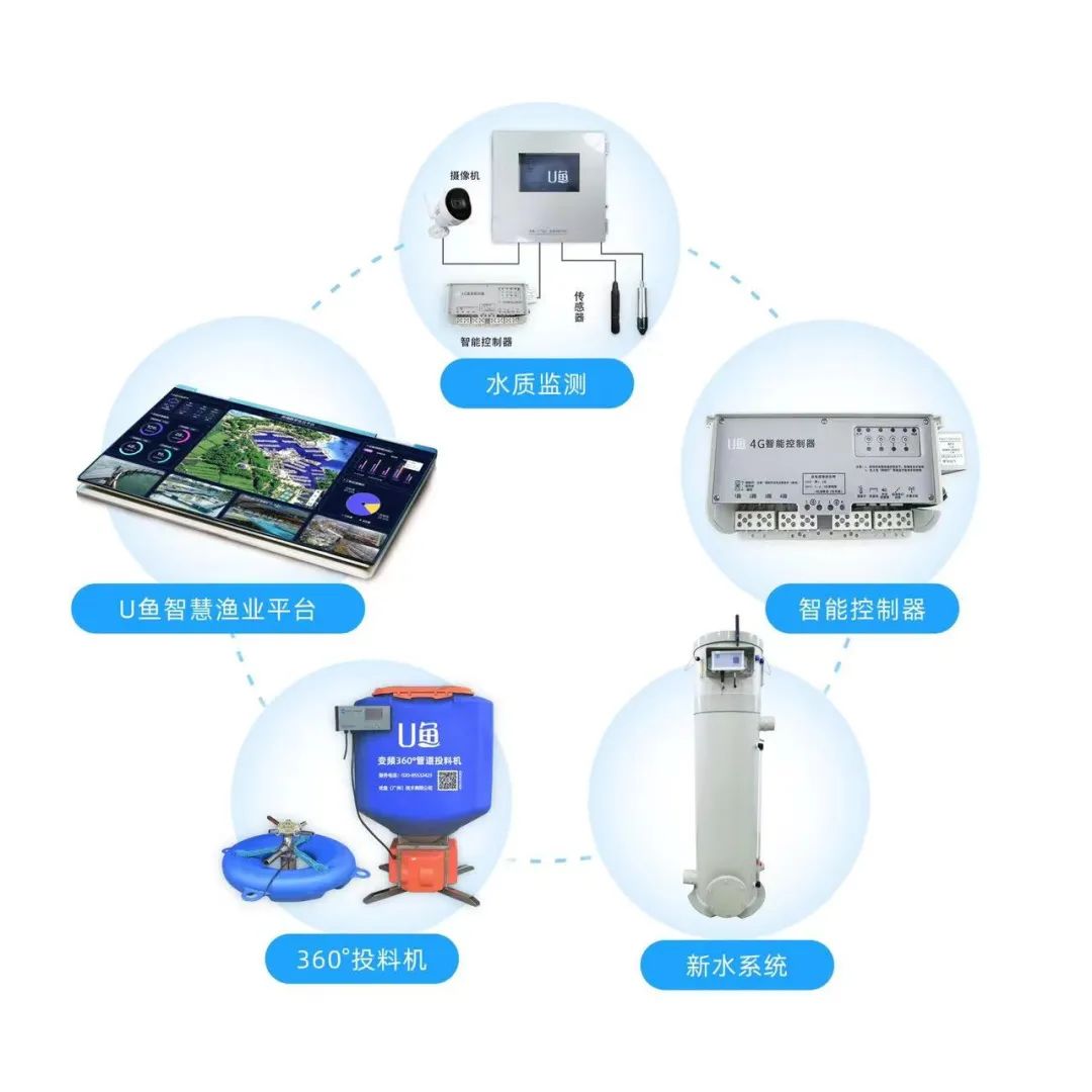 養殖設備免費送？互聯網技術如何重塑養殖設施行業新格局